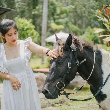 ไร่นาบัวหลวง คาเฟ่ & ฟาร์มสเตย์ Raina Bualuang Cafe & Farm Stay Ban Na No 외부 사진