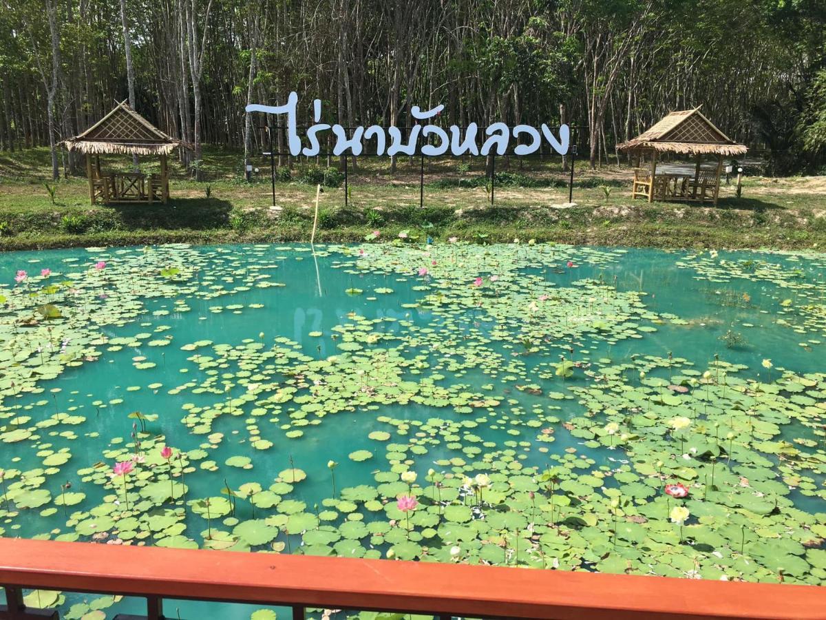 ไร่นาบัวหลวง คาเฟ่ & ฟาร์มสเตย์ Raina Bualuang Cafe & Farm Stay Ban Na No 외부 사진
