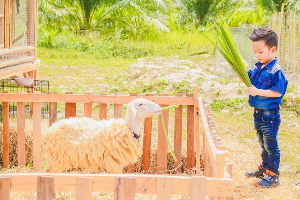 ไร่นาบัวหลวง คาเฟ่ & ฟาร์มสเตย์ Raina Bualuang Cafe & Farm Stay Ban Na No 외부 사진