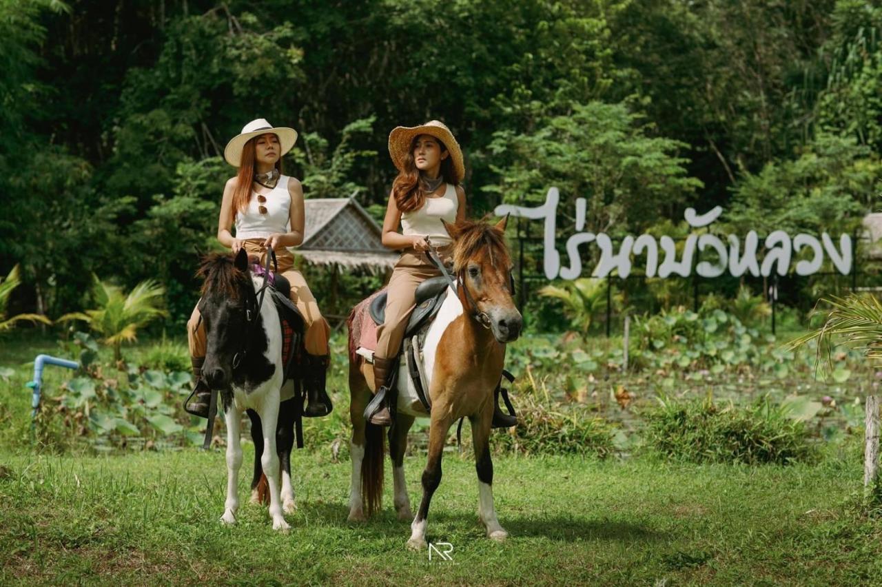 ไร่นาบัวหลวง คาเฟ่ & ฟาร์มสเตย์ Raina Bualuang Cafe & Farm Stay Ban Na No 외부 사진