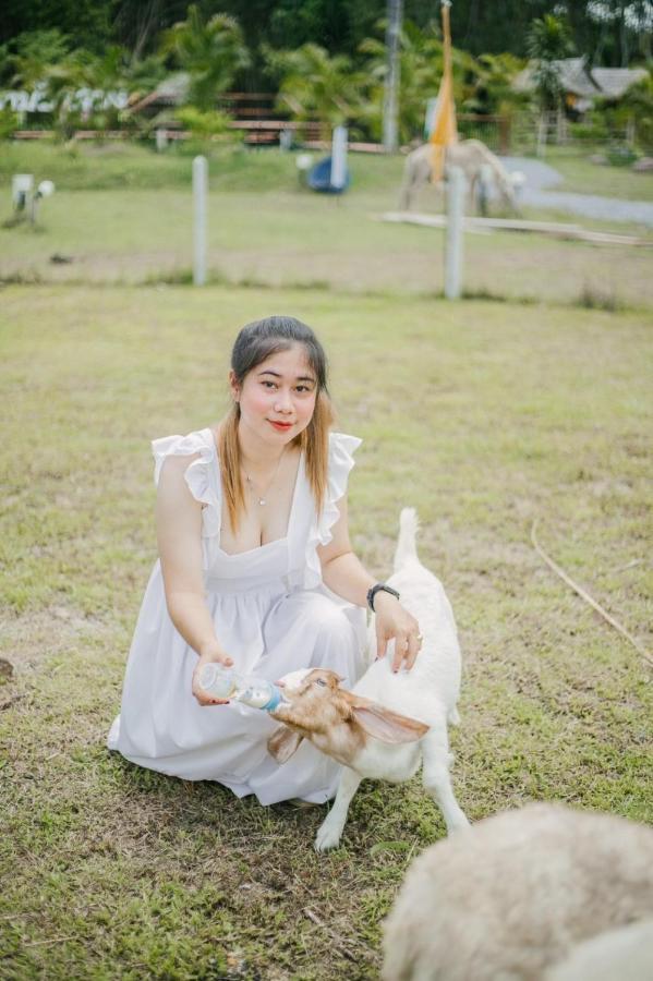 ไร่นาบัวหลวง คาเฟ่ & ฟาร์มสเตย์ Raina Bualuang Cafe & Farm Stay Ban Na No 외부 사진