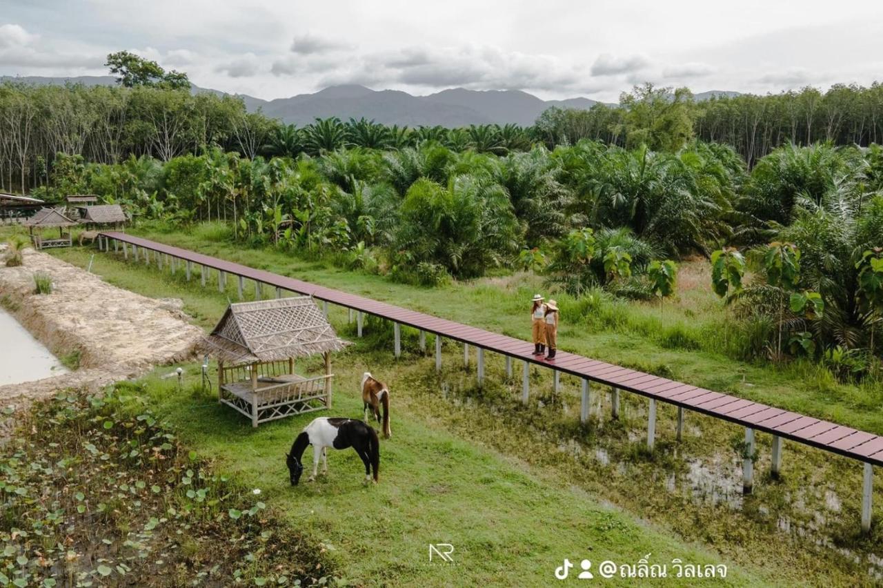 ไร่นาบัวหลวง คาเฟ่ & ฟาร์มสเตย์ Raina Bualuang Cafe & Farm Stay Ban Na No 외부 사진