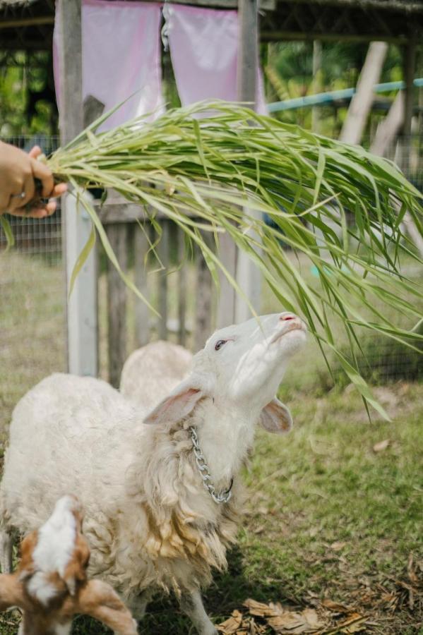 ไร่นาบัวหลวง คาเฟ่ & ฟาร์มสเตย์ Raina Bualuang Cafe & Farm Stay Ban Na No 외부 사진