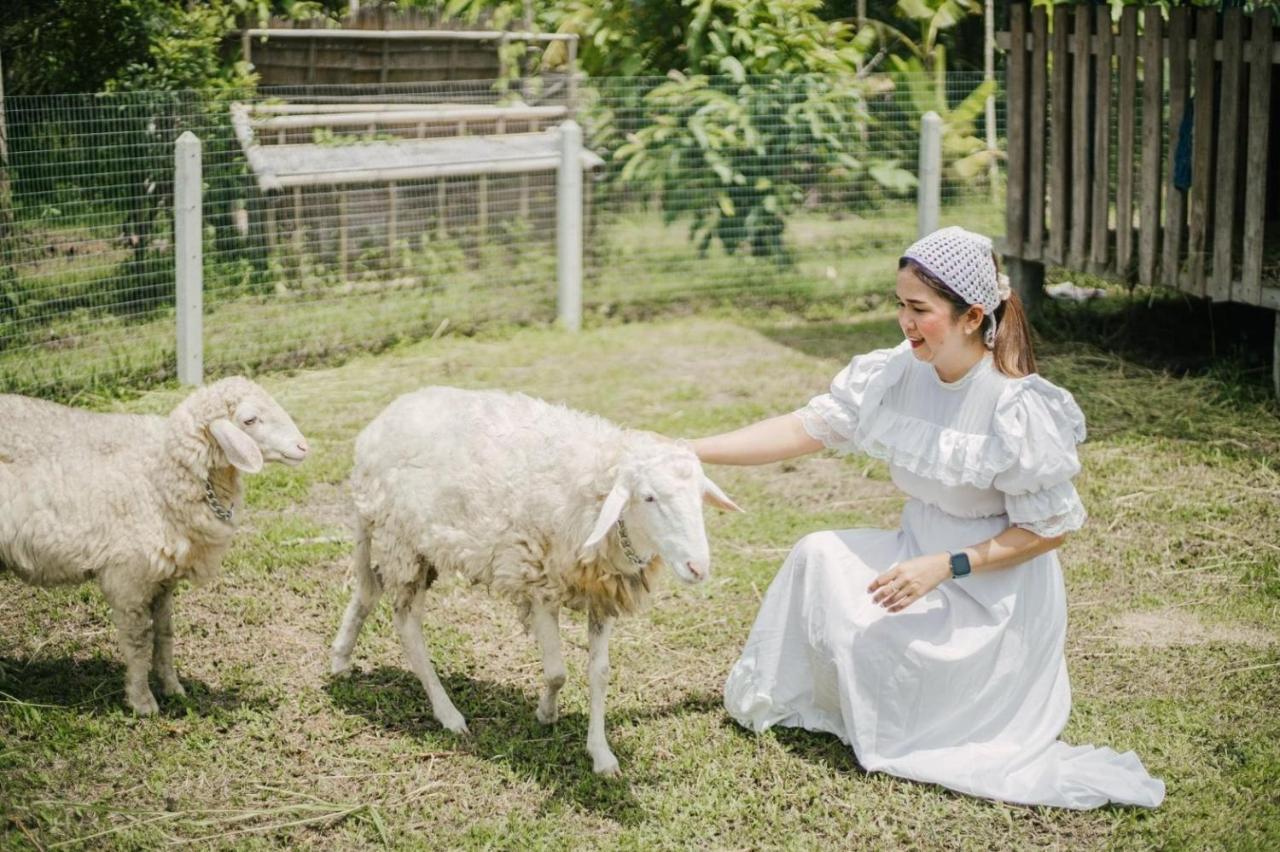ไร่นาบัวหลวง คาเฟ่ & ฟาร์มสเตย์ Raina Bualuang Cafe & Farm Stay Ban Na No 외부 사진