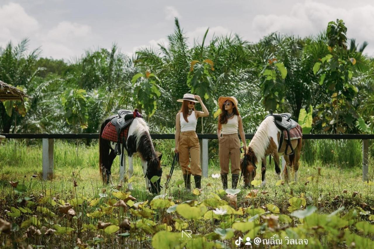 ไร่นาบัวหลวง คาเฟ่ & ฟาร์มสเตย์ Raina Bualuang Cafe & Farm Stay Ban Na No 외부 사진