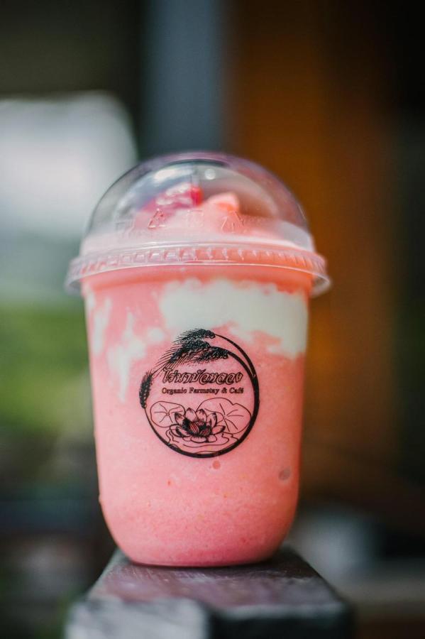 ไร่นาบัวหลวง คาเฟ่ & ฟาร์มสเตย์ Raina Bualuang Cafe & Farm Stay Ban Na No 외부 사진