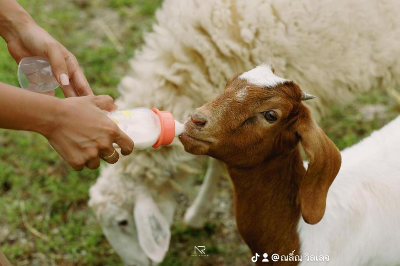 ไร่นาบัวหลวง คาเฟ่ & ฟาร์มสเตย์ Raina Bualuang Cafe & Farm Stay Ban Na No 외부 사진