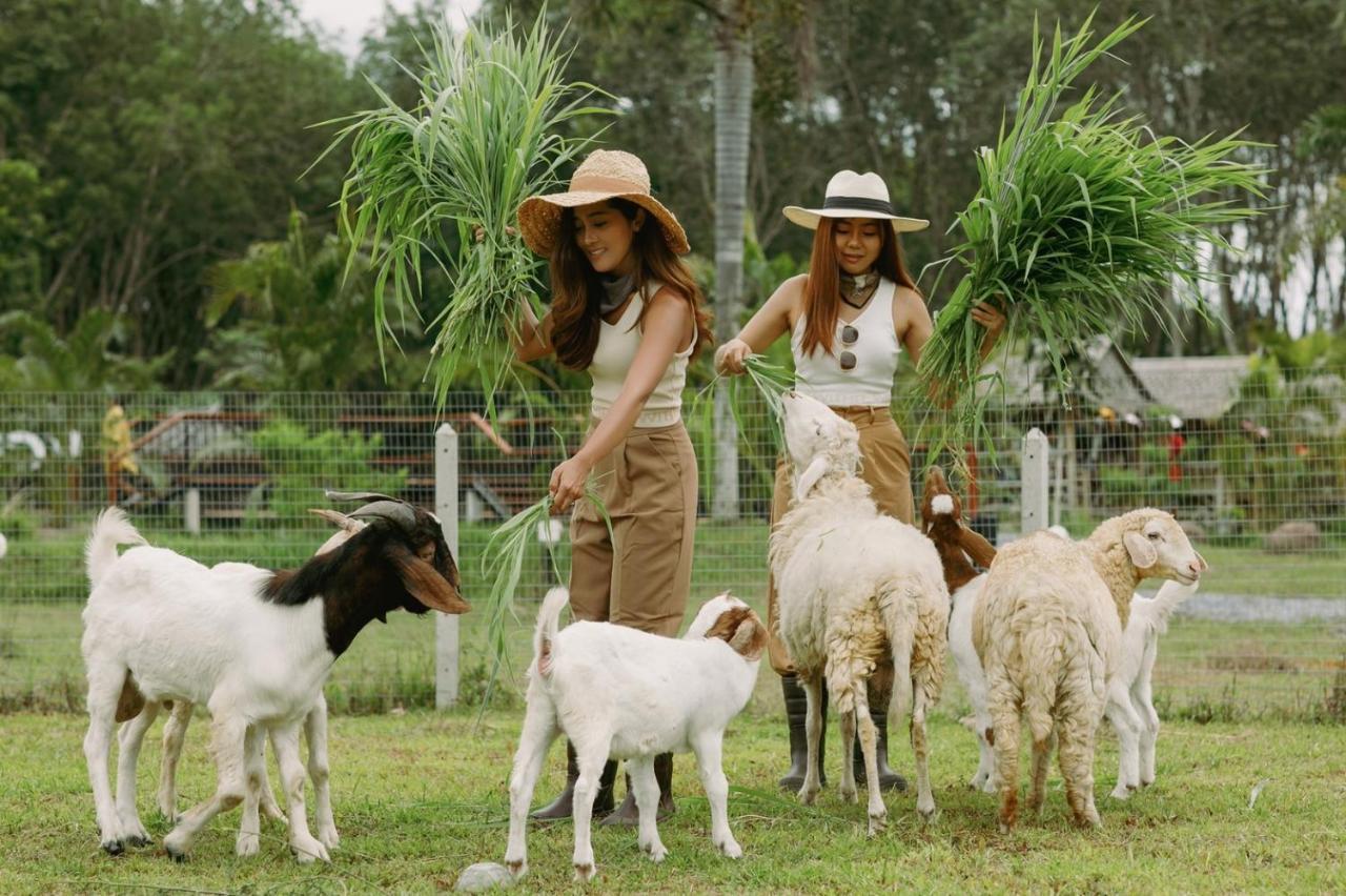 ไร่นาบัวหลวง คาเฟ่ & ฟาร์มสเตย์ Raina Bualuang Cafe & Farm Stay Ban Na No 외부 사진